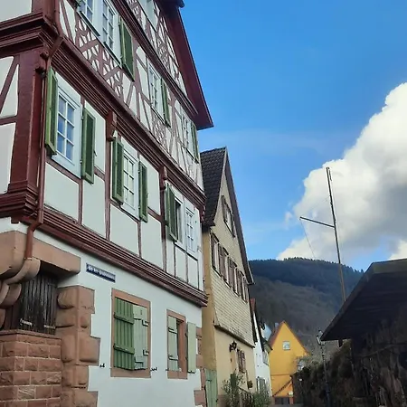 Altstadthaeuschen Mit Flussblick, Naehe Heidelberg Castle Hirschhorn