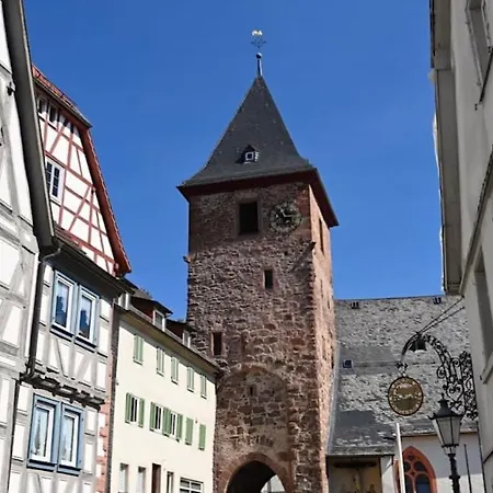 Altstadthaeuschen Mit Flussblick, Naehe Heidelberg Castle