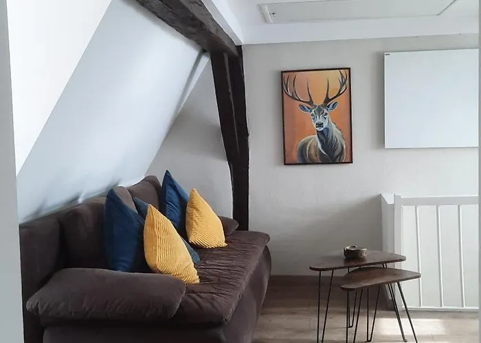 Ferienhaus Altstadthäuschen Mit Charm , Nähe Heidelberg Castle, S-bahn *