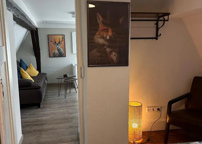 Vakantiehuis Altstadthaeuschen Mit Charm , Naehe Heidelberg Castle, Neckarufer Hirschhorn