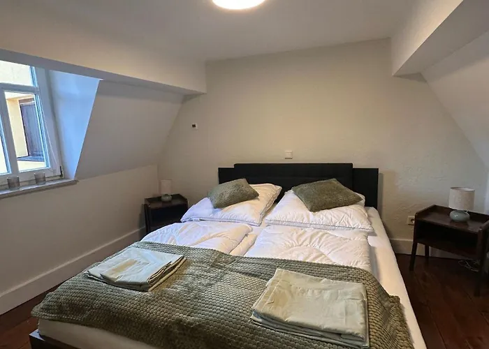 Vakantiehuis Altstadthaeuschen Mit Charm , Naehe Heidelberg Castle, Neckarufer *