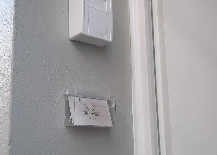 Altstadthaeuschen Mit Charm , Naehe Heidelberg Castle, Neckarufer * Hirschhorn