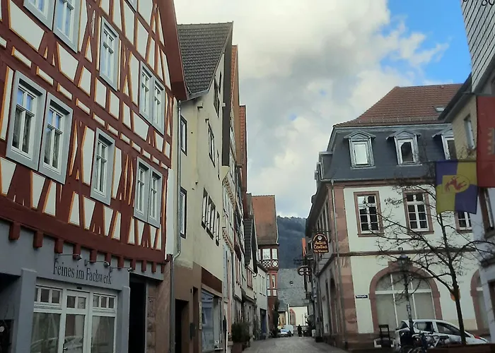 Altstadthaeuschen Mit Charm , Naehe Heidelberg Castle, Neckarufer Vakantiehuis *