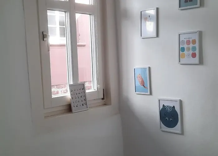 Altstadthäuschen Mit Charm , Nähe Heidelberg Castle, S-bahn *