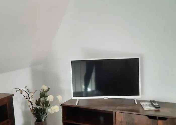 Altstadthaeuschen Mit Charm , Naehe Heidelberg Castle, Neckarufer * Hirschhorn