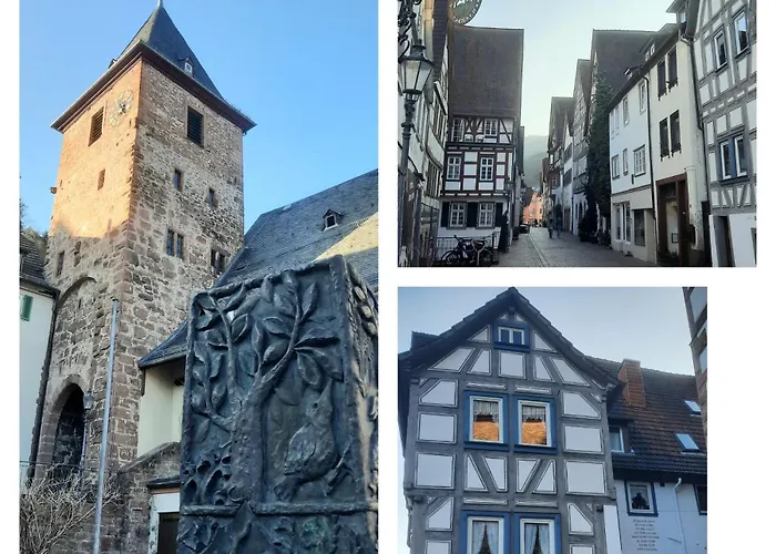 Altstadthaeuschen Mit Charm , Naehe Heidelberg Castle, Neckarufer * Hirschhorn